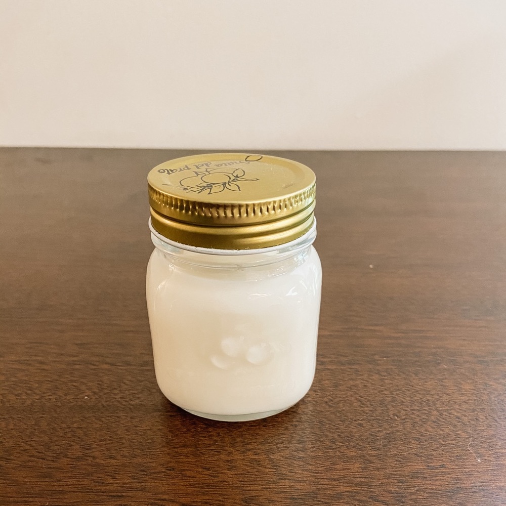 Citrus odor eliminator candle